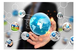 互聯(lián)網(wǎng)推廣實(shí)戰(zhàn) 技術(shù)與市場營銷策劃的融合之道